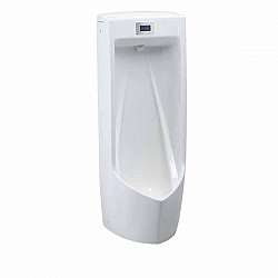 be-tieu-nam-cam-ung-dat-san-caesar-ua0284