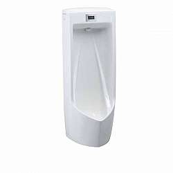 be-tieu-nam-cam-ung-treo-tuong-caesar-ua0283