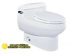 bon-cau-lien-khoi-cao-cap-toto-ms688t2