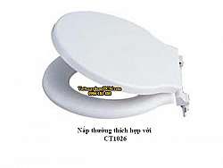 nap-nhua-dung-cho-bon-cau-caesar-ct1026