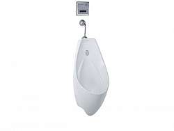 be-tieu-nam-treo-tuong-caesar-u0267