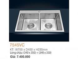 bon-rua-chen-inox-sus-304-duc-2-hoc-nho-erowin-7545vc