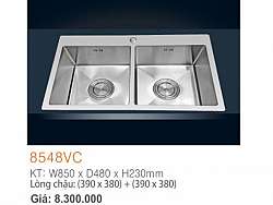 bon-rua-bat-inox-sus304-2-hoc-can-erowin-8548vc