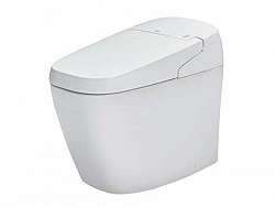 bon-cau-cam-ung-thong-minh-tu-dong-inax-ac-g216vn-bw1