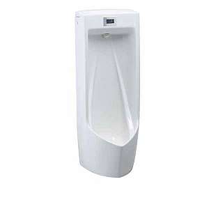 be-tieu-nam-cam-ung-treo-tuong-caesar-ua0283