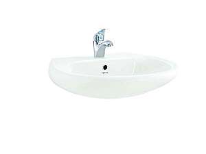 bon-lavabo-rua-mat-treo-tuong-viglacera-bs409