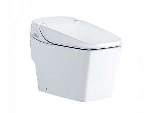 bon-cau-dien-tu-thong-minh-cotto-c10227