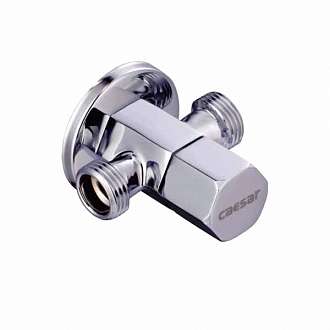 van-khong-che-chu-t-caesar-bf427