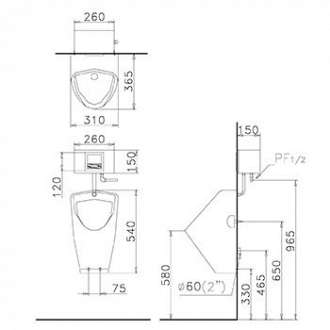 bon-tieu-nam-cam-ung-gia-re-caesar-u0261