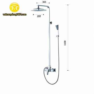 sen-cay-tam-dung-gia-re-caesar-s648c