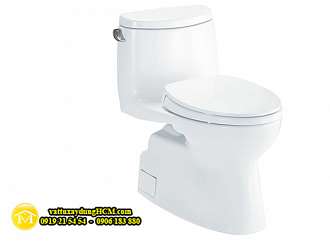 ban-cau-1-khoi-cao-cap-toto-ms905t2