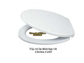 nap-nhua-bon-cau-roi-em-caesar-mu234