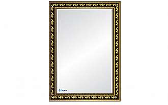 guong-phong-tam-2-lop-hinh-canh-chim-hoa-binh-hbs2-756