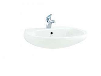 bon-lavabo-rua-mat-treo-tuong-viglacera-bs409