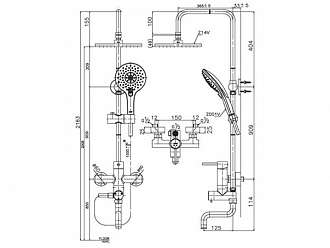 sen-cay-tam-nong-lanh-co-xa-xo-cotto-ct5101w