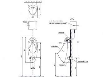 chau-tieu-nam-treo-tuong-cap-nuoc-am-toto-ut904hr-xw